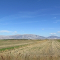 Landschaft
